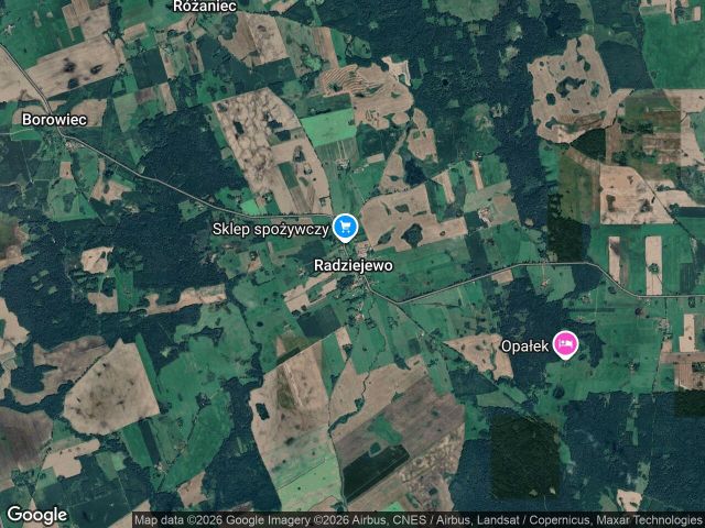Działka rolna Radziejewo Radziejewo-Kolonia. Zdjęcie 1