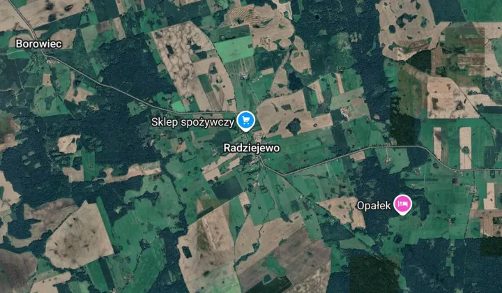 Działka rolna Radziejewo Radziejewo-Kolonia