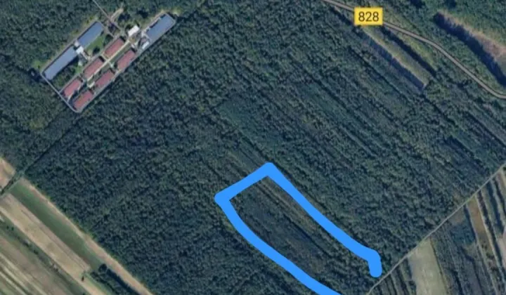Działka leśna Niemce Leonów, ul. Leonów