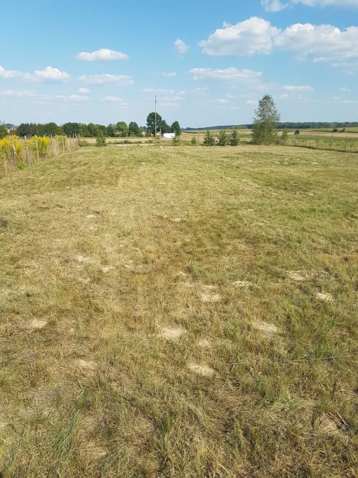 Działka budowlana Nowe Krzewo. Zdjęcie 5