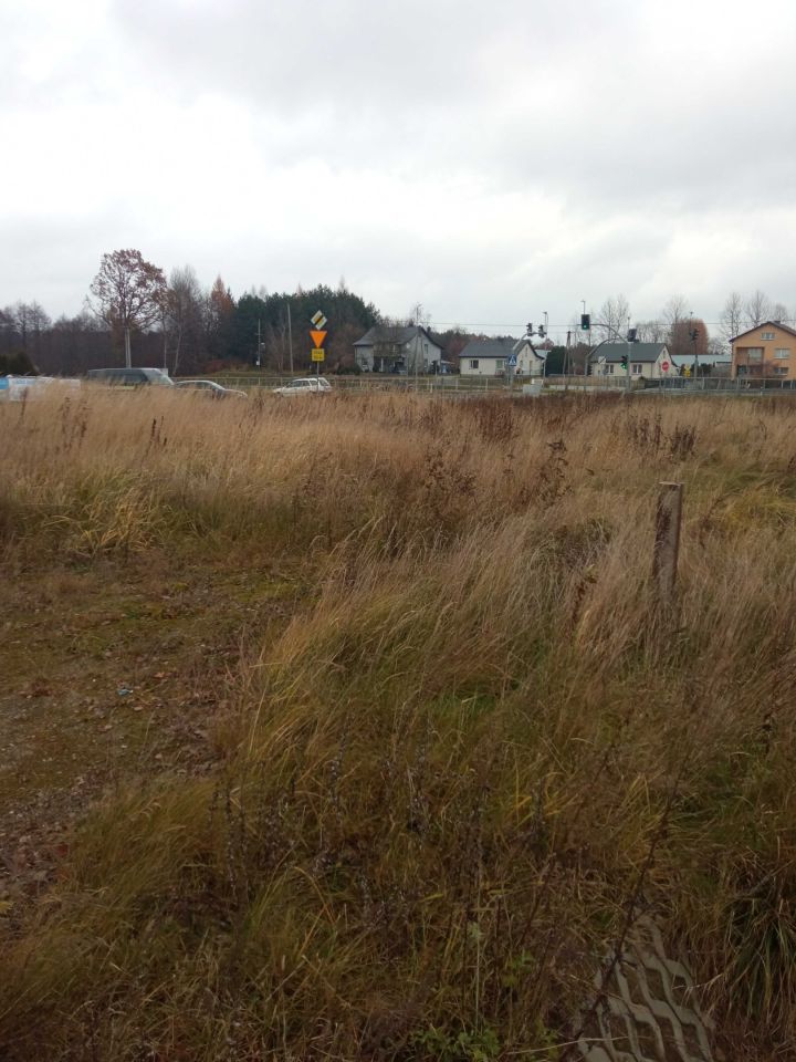 Działka rolno-budowlana Rogóźno, ul. Świergotka. Zdjęcie 5