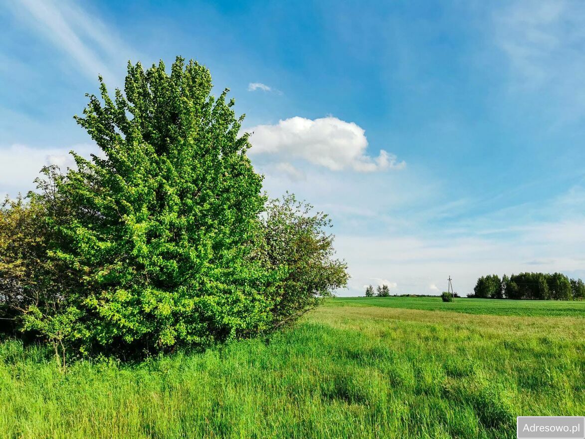Działka rolna Śliwno