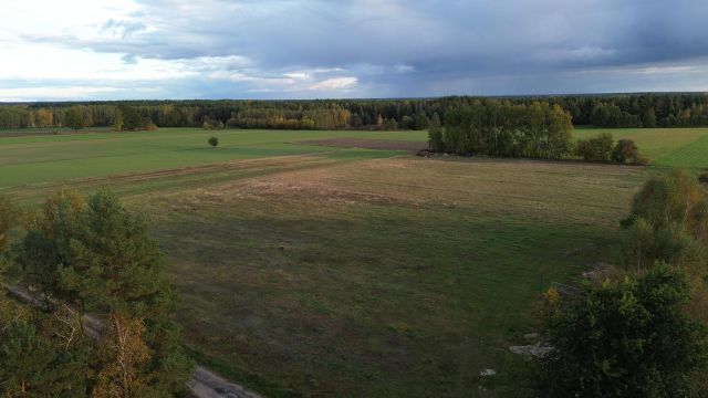 Działka budowlana Napiórki Butne. Zdjęcie 1