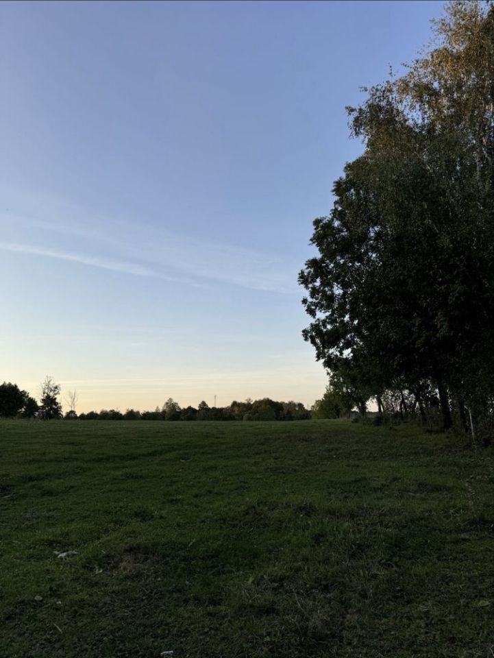 Działka rolno-budowlana Leśniewo. Zdjęcie 4