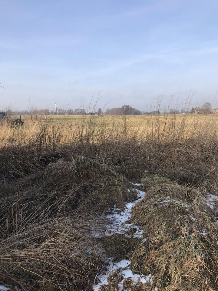 Działka budowlana Kalisz Lis, ul. Myśliwska. Zdjęcie 5