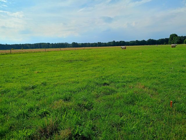 Działka budowlana Stany. Zdjęcie 1