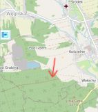 Działka leśna Rakszawa Wołochy. Zdjęcie 1