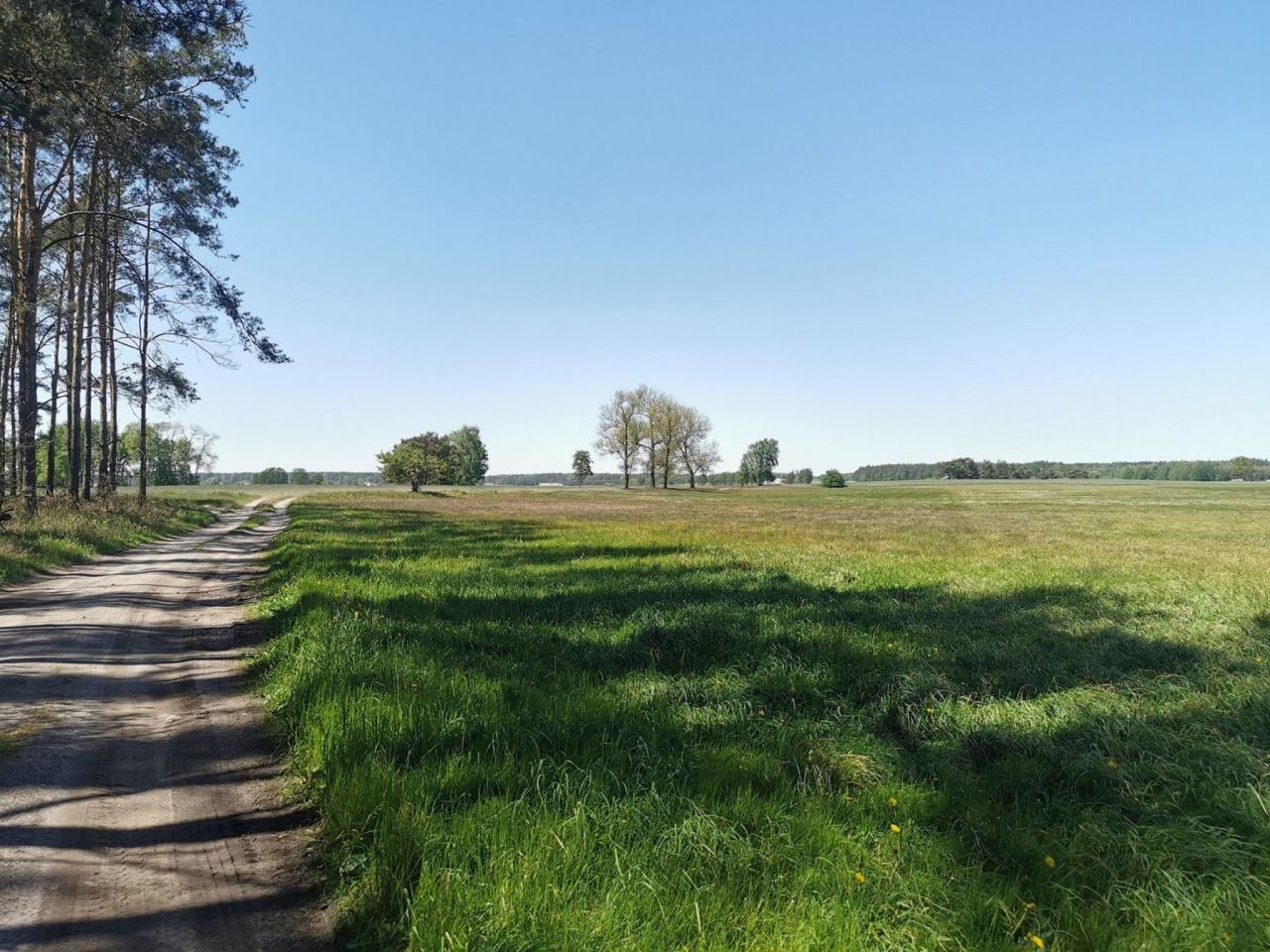 Działka rolna Święta. Zdjęcie 11