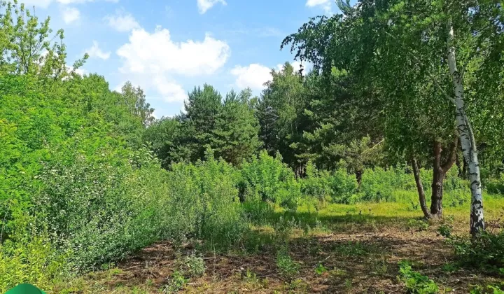 Działka budowlana Ojrzanów