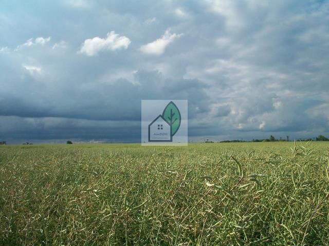 Działka budowlana Głosków. Zdjęcie 3