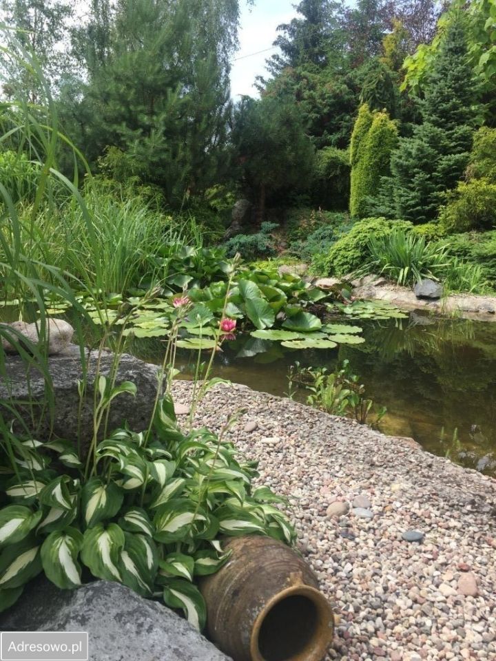 dom wolnostojący, 6 pokoi Jurowce. Zdjęcie 19