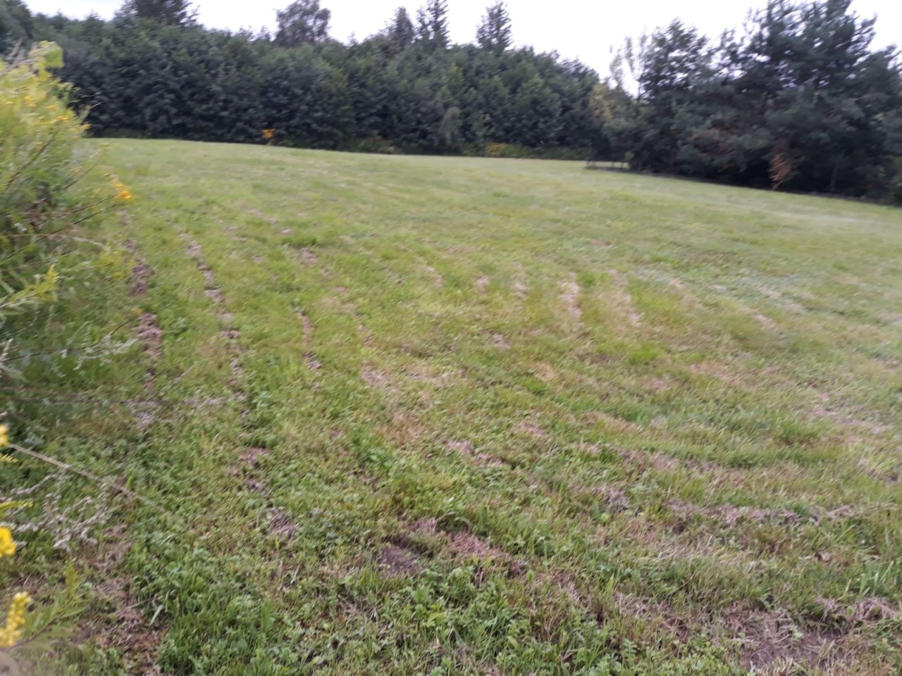 Działka rolno-budowlana Wokowice, os. Nowe. Zdjęcie 3