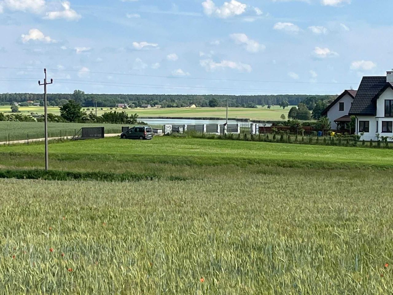Działka rolno-budowlana Czernie. Zdjęcie 4
