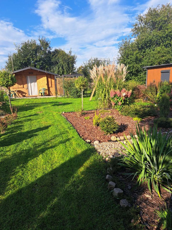 Działka rod Pruszcz Gdański. Zdjęcie 1