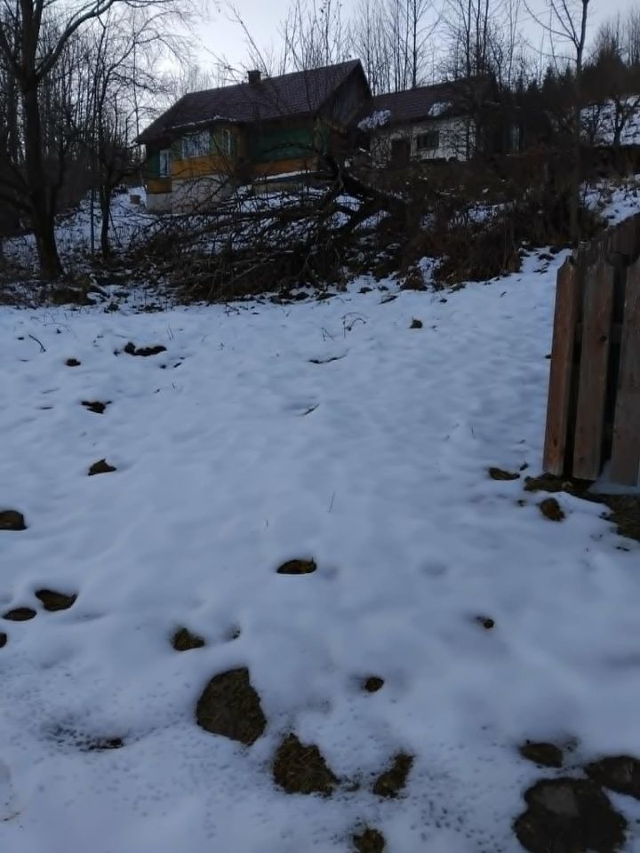 Działka rolno-budowlana Zawoja Dolina. Zdjęcie 12