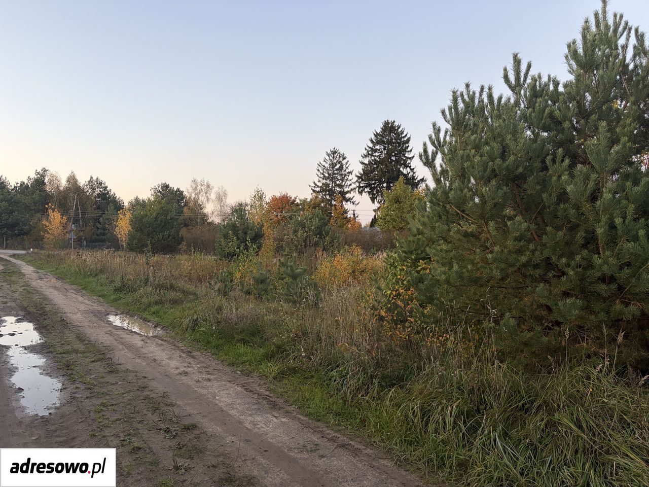Działka budowlana Joniec-Kolonia. Zdjęcie 9