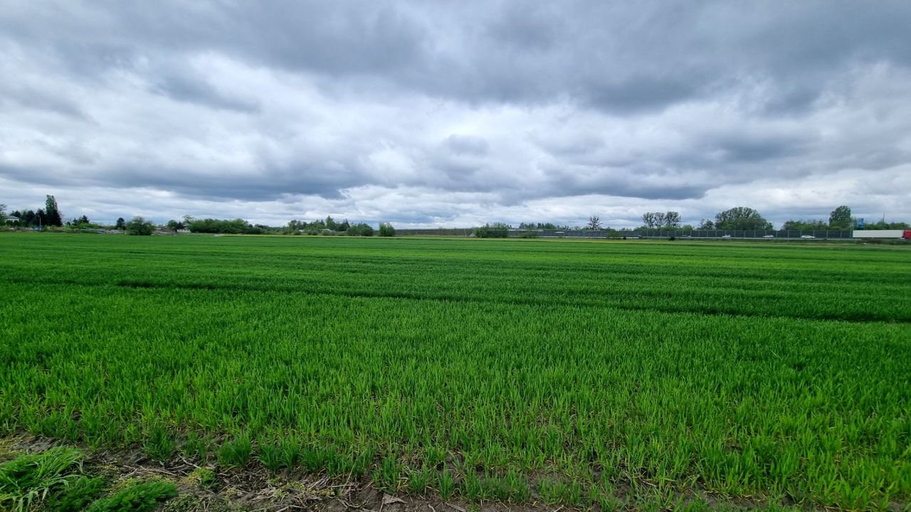 Działka rolna Żuków. Zdjęcie 12