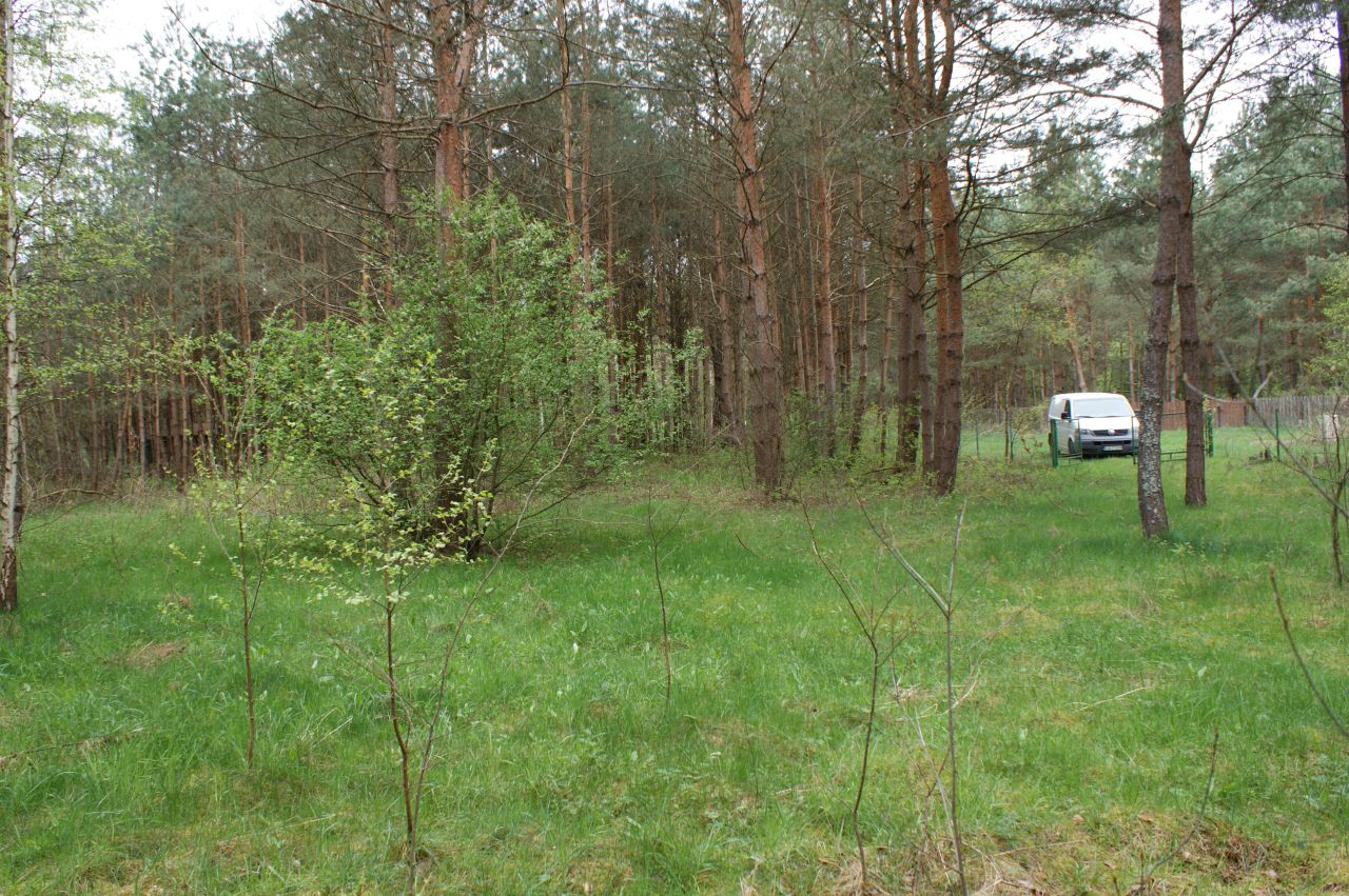 Działka rekreacyjna Czerwona Wola Myszkówka. Zdjęcie 19