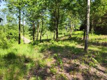 Działka budowlana Sobibór. Zdjęcie 3