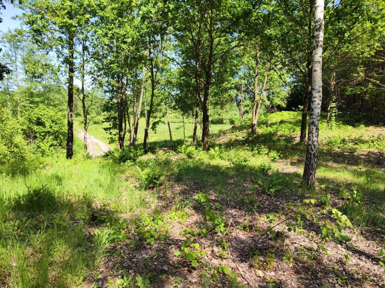 Działka budowlana Sobibór. Zdjęcie 4