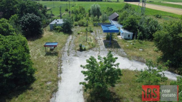 Lokal Rzymsko. Zdjęcie 7