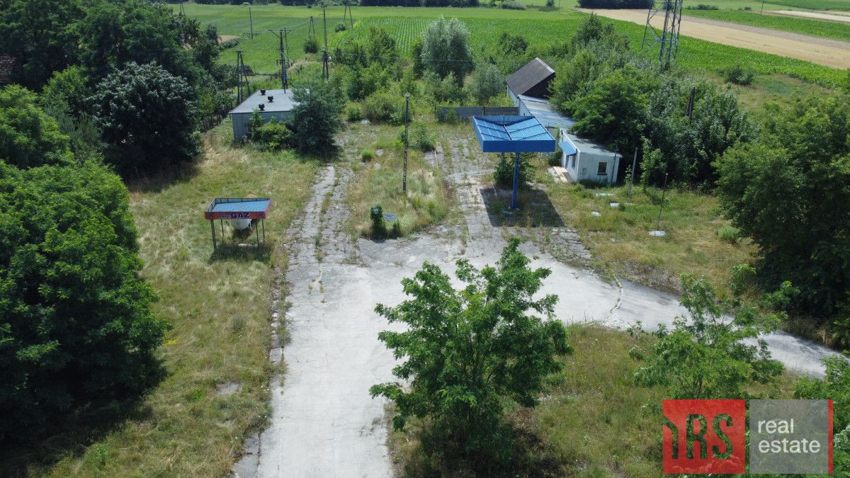 Lokal Rzymsko. Zdjęcie 7