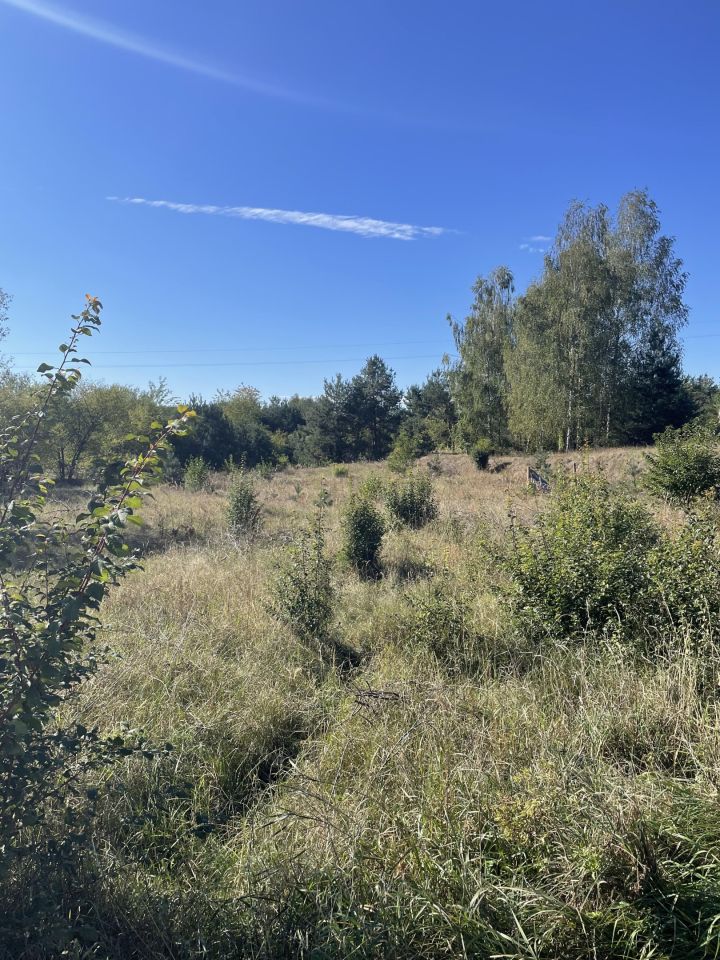 Działka budowlana Żagno. Zdjęcie 6