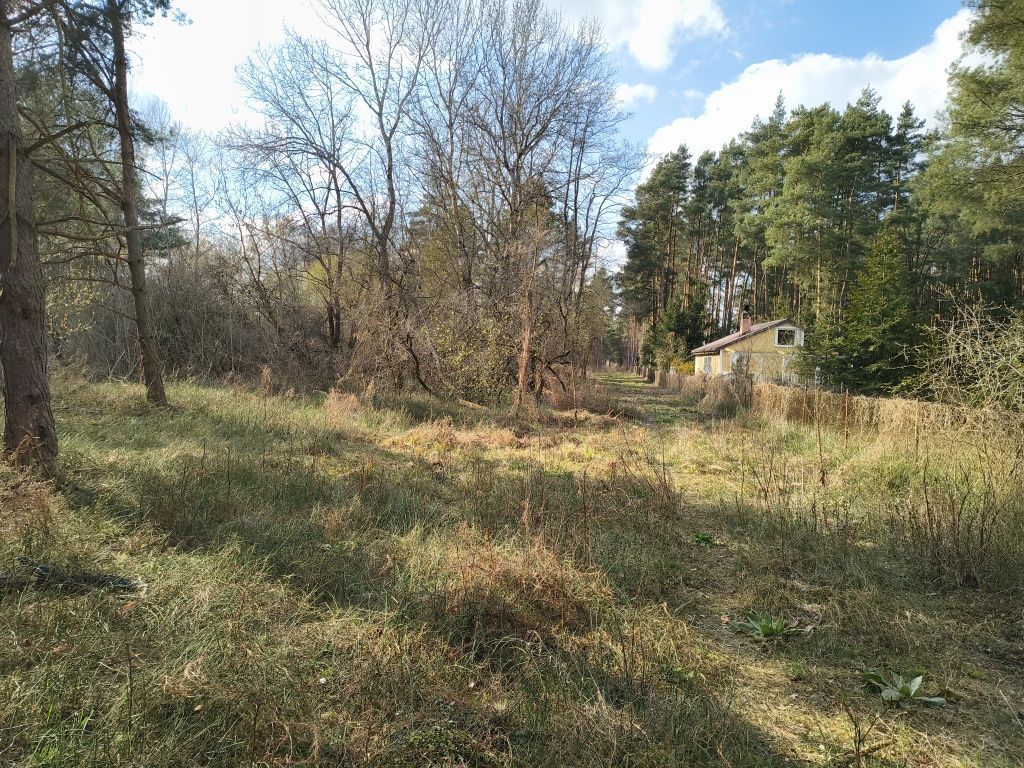 Działka rekreacyjna Pogorzelec. Zdjęcie 3