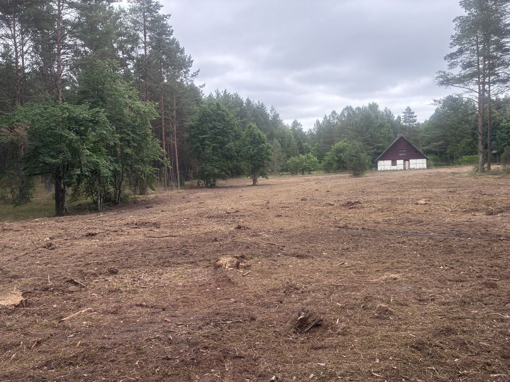 Działka Czarna Woda. Zdjęcie 8