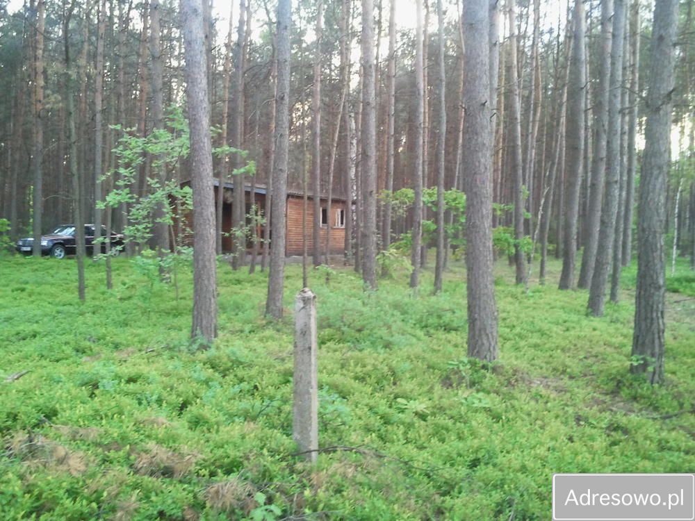 Działka rekreacyjna Zamienie. Zdjęcie 6