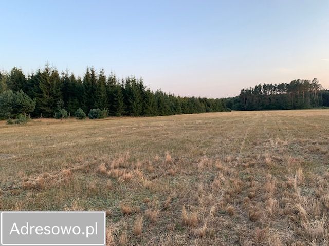 Działka rolna Rzystnowo. Zdjęcie 10