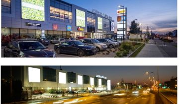 Lokal Warszawa Targówek, Łodygowa