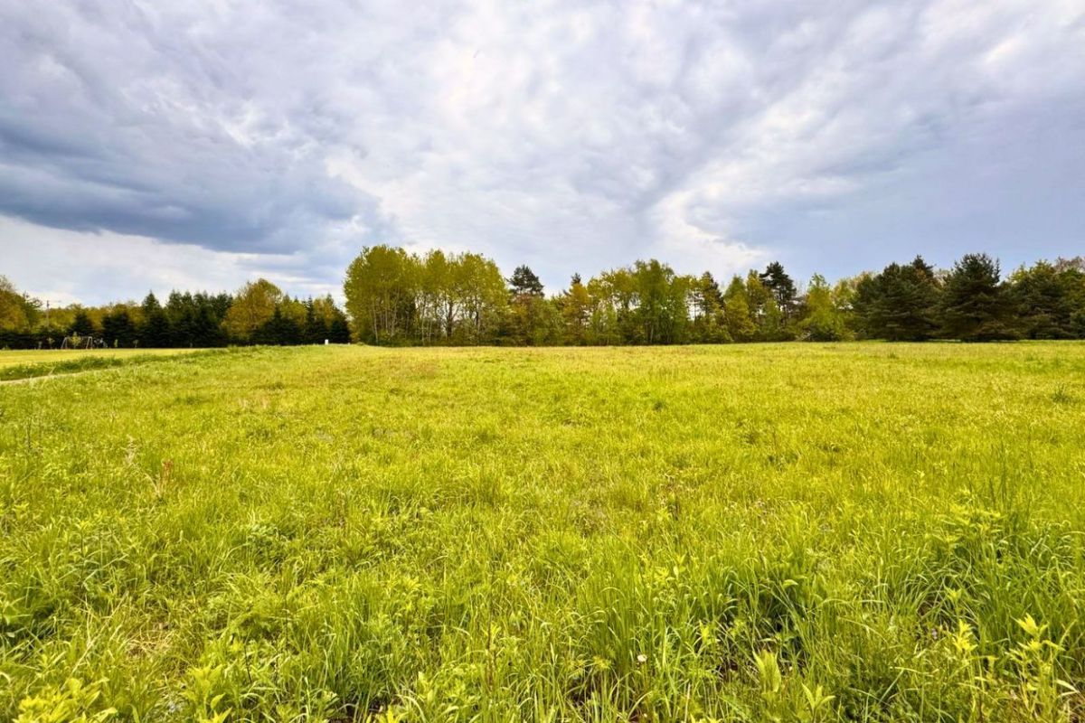 Działka rolna Lesko Wola Postołowa. Zdjęcie 9