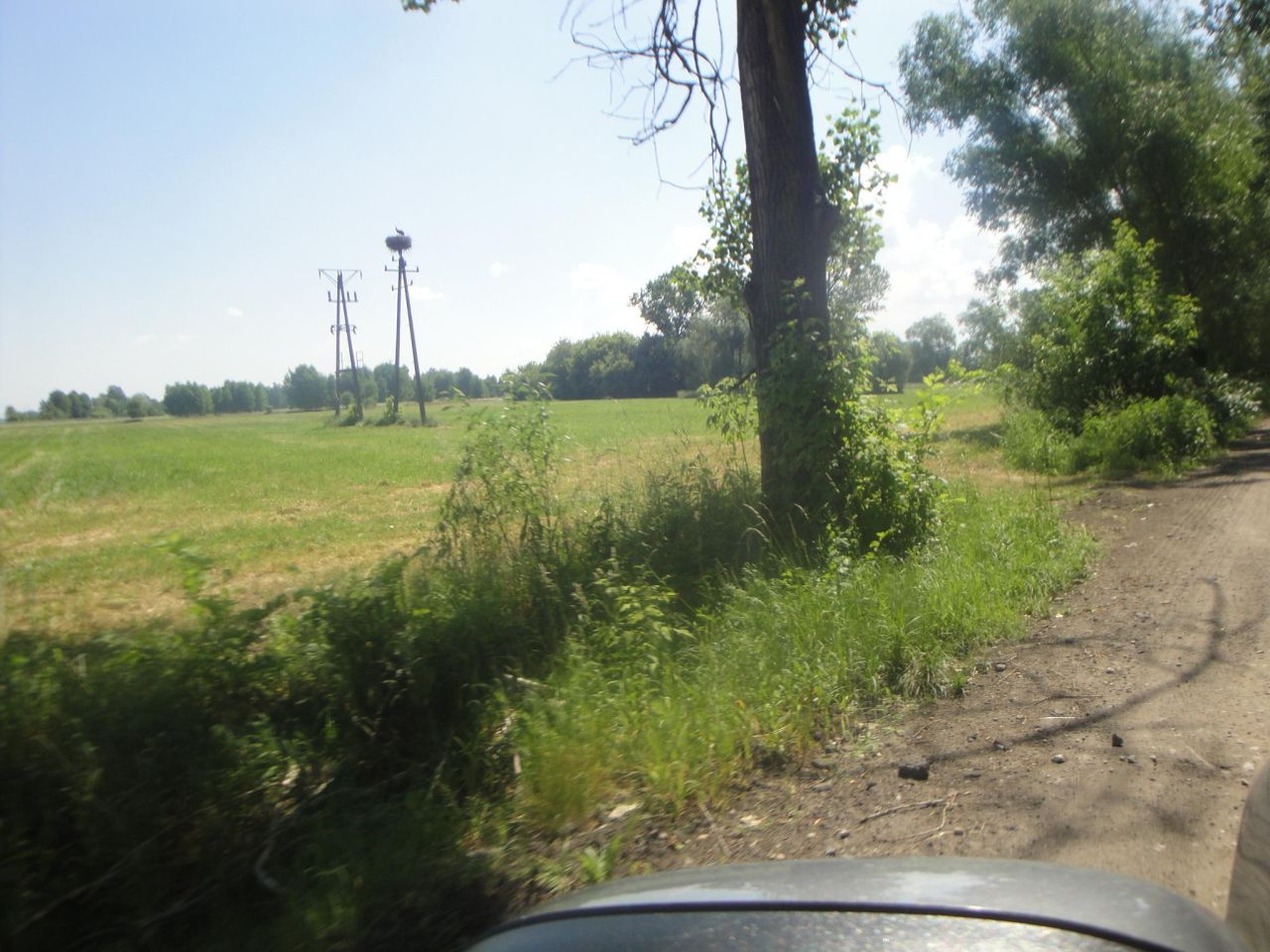 Działka rolno-budowlana Baranów, ul. Brzozowa. Zdjęcie 8