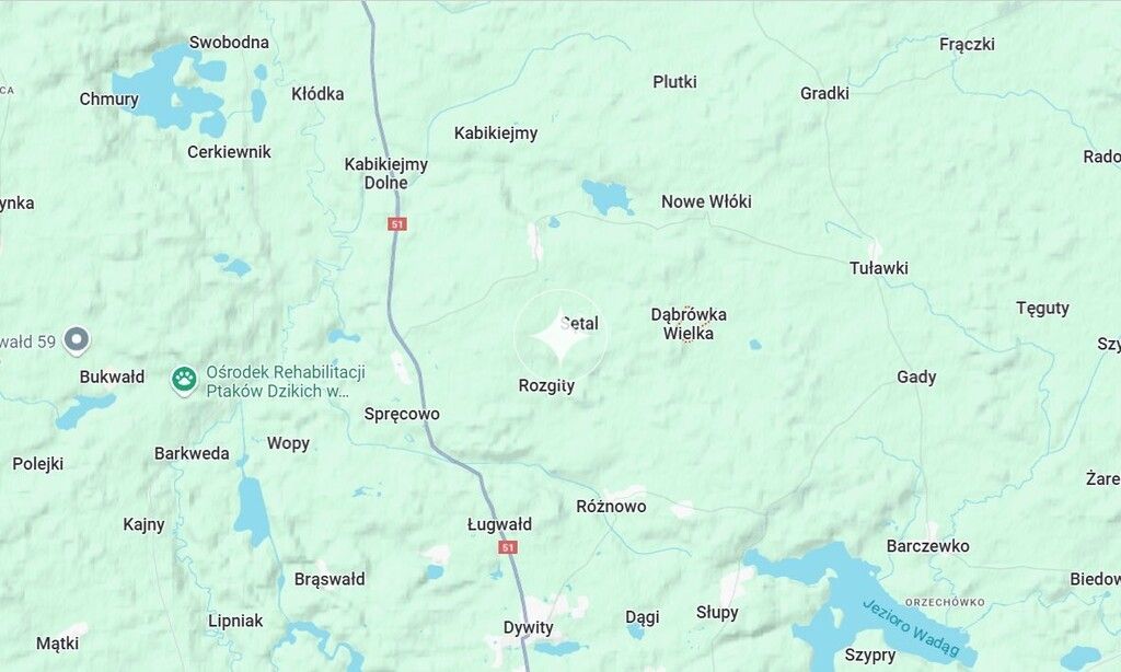 Działka budowlana Dąbrówka Wielka. Zdjęcie 13