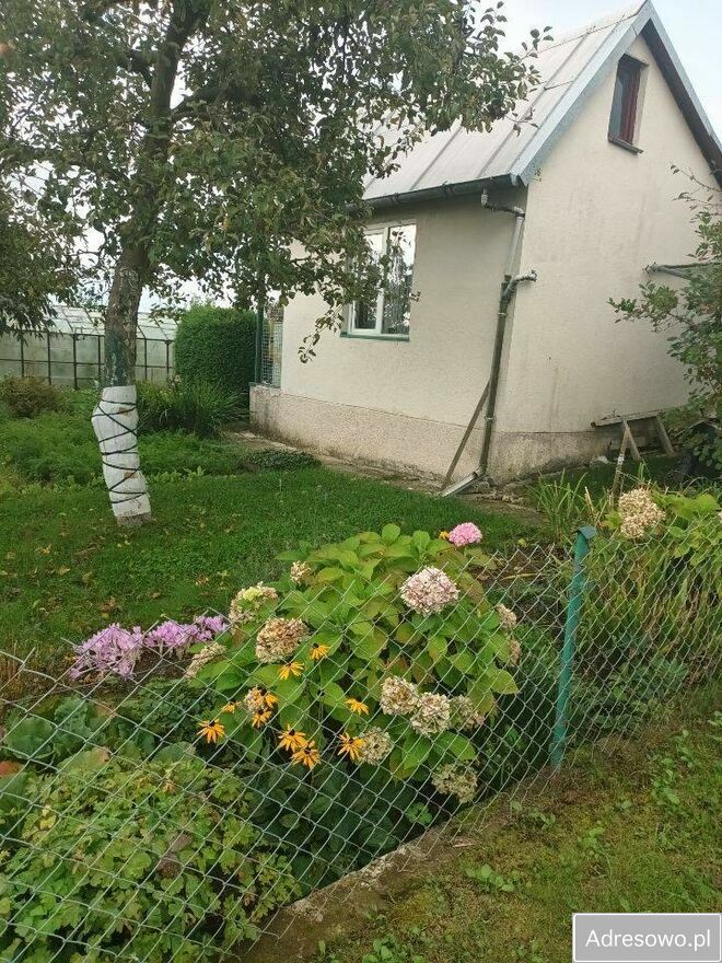 Działka rod Ełk. Zdjęcie 3
