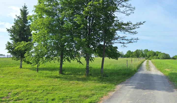 Działka budowlana Harklowa