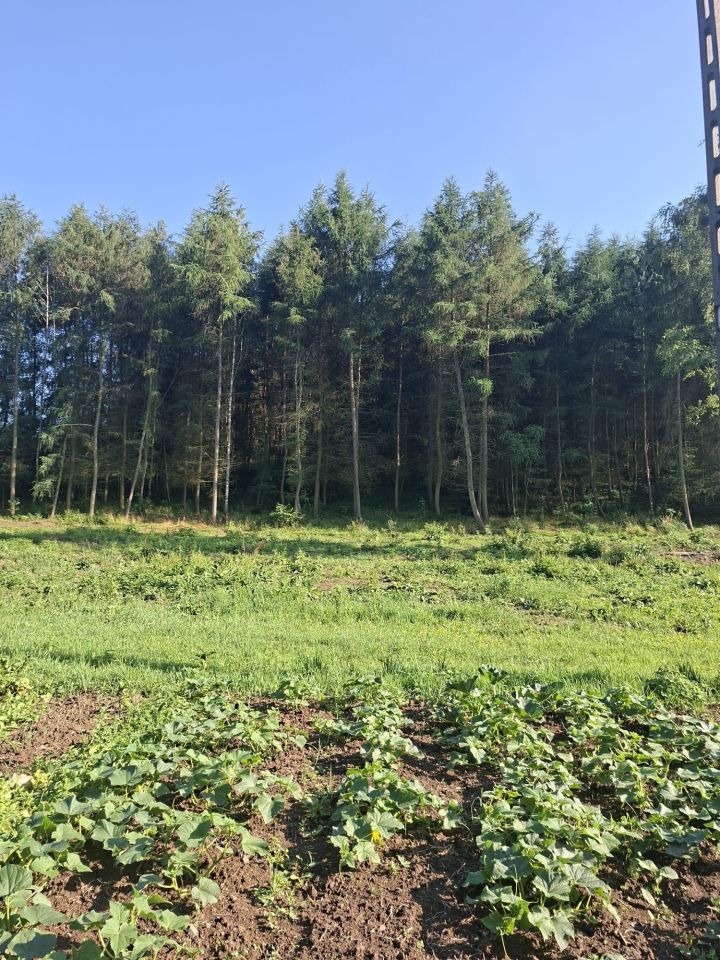dom wolnostojący Łukowica. Zdjęcie 6