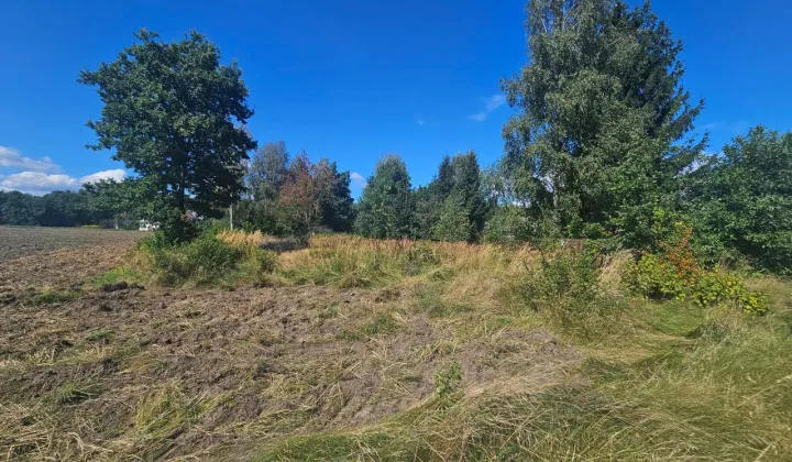 Działka rolno-budowlana Zagajnik, ul. Partyzantów