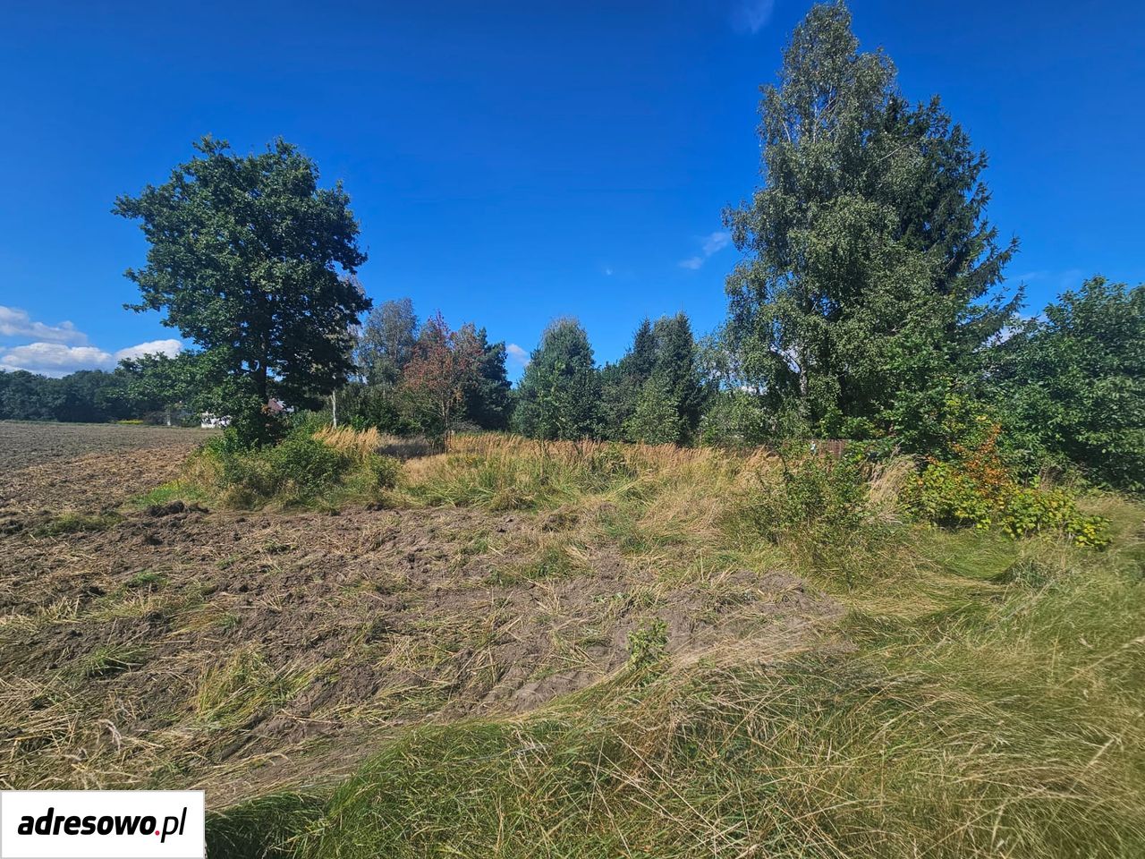 Działka rolno-budowlana Zagajnik, ul. Partyzantów. Zdjęcie 1