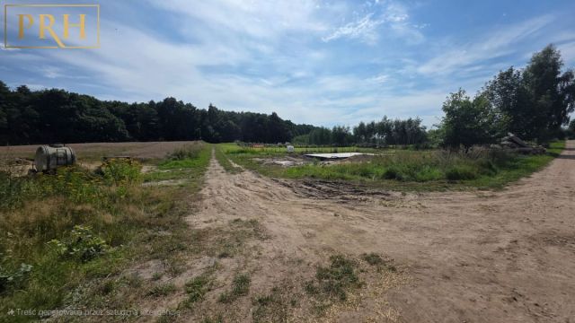 Działka budowlana Stare Bielice, ul. Platanowa. Zdjęcie 10