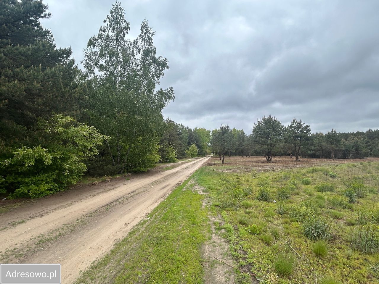 Działka budowlana Łacha, ul. Księcia Witolda. Zdjęcie 2
