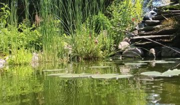 Działka rod Poznań Głuszyna, ul. Przy Lotnisku