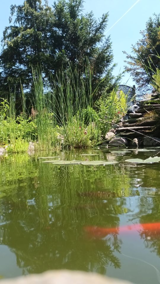 Działka rod Poznań Głuszyna, ul. Przy Lotnisku. Zdjęcie 2