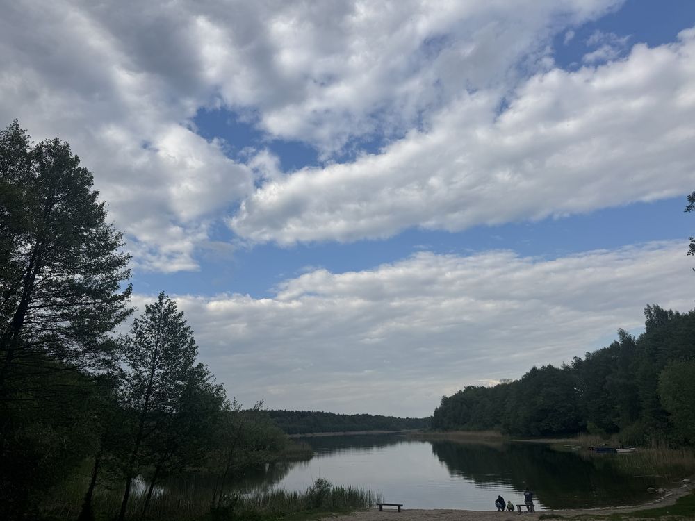 Działka rod Nekla. Zdjęcie 2