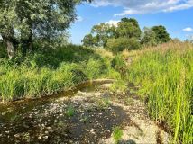 Działka rolna Bosowice. Zdjęcie 2