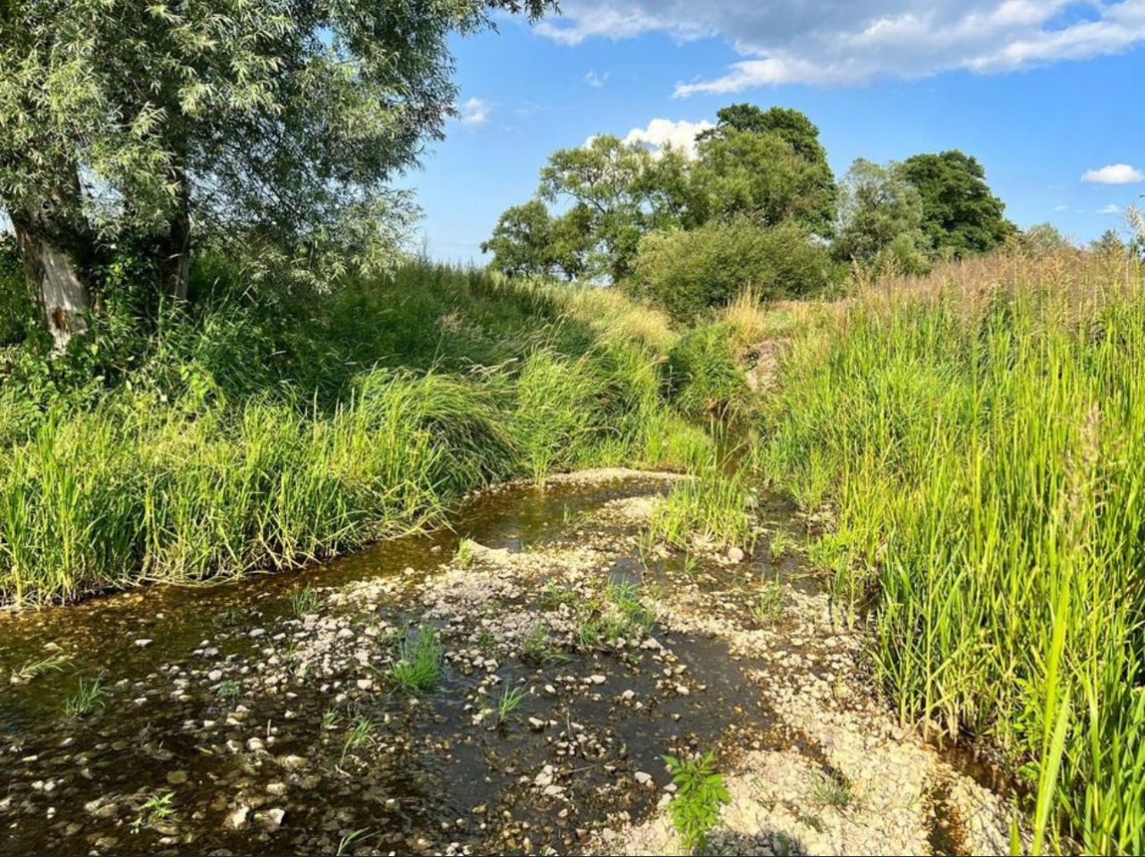 Działka rolna Bosowice. Zdjęcie 3