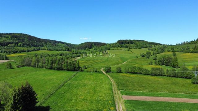 Działka budowlana Przedwojów. Zdjęcie 10