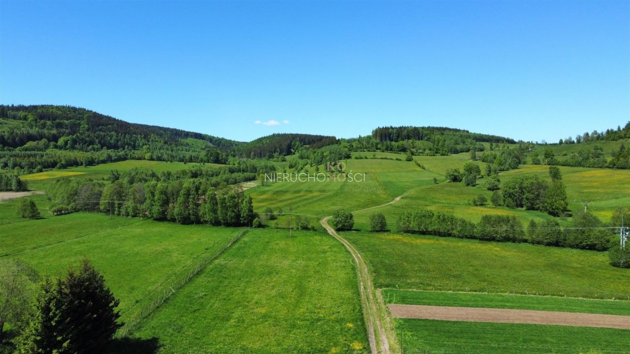 Działka budowlana Przedwojów. Zdjęcie 10