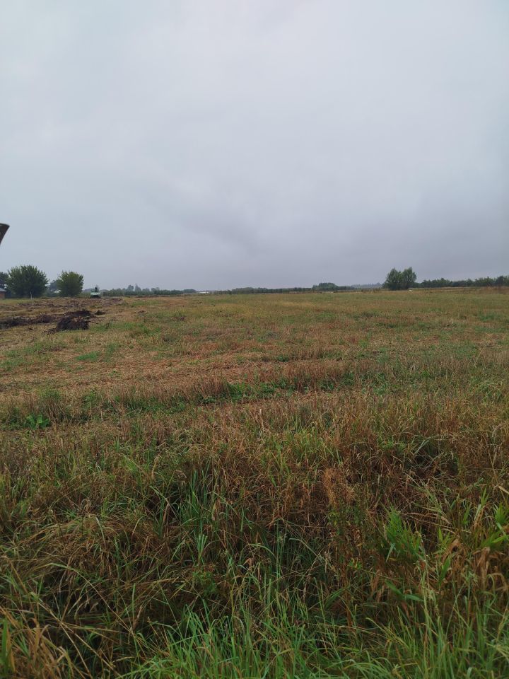 Działka budowlana Bednary, ul. Bitwy nad Bzurą. Zdjęcie 4